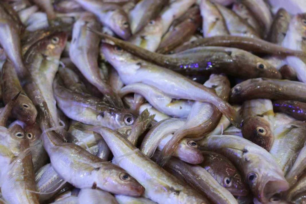 Tezgahların en ucuzu hamsi bile alev alev cep yakıyor! Bir günde yüzde 75 zamlandı, çarşıya giden vatandaş eli boş döndü 26